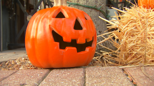 A Halloween pumpkin. Photo via WINK News.