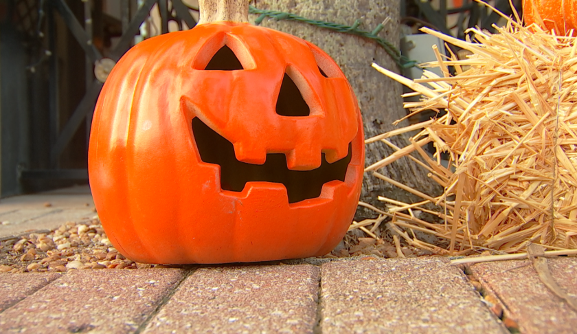 A Halloween pumpkin. Photo via WINK News.
