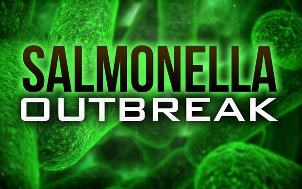 Precut Onions Caused Salmonella Outbreak, CDC Says