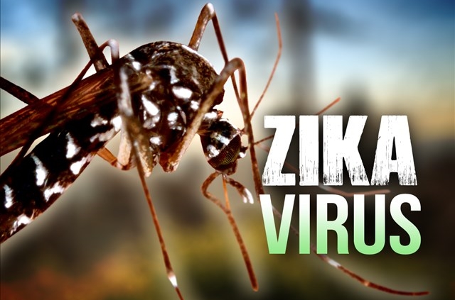 UN health agency rejects call to postpone Rio Olympics amid Zika fear