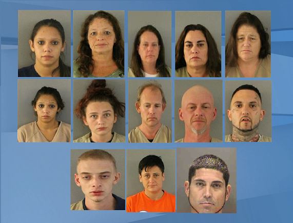 13 Arrested In Charlotte County Drug Bust - WINK News