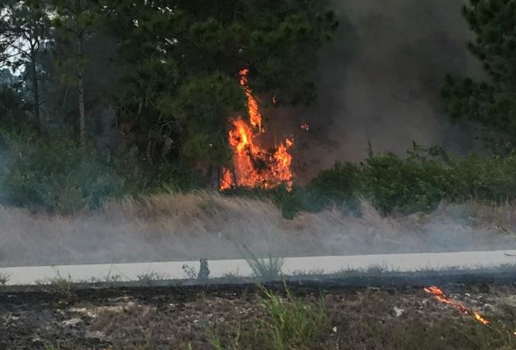 Residents Help Crews Contain Lehigh Acres Brush Fire - WINK News