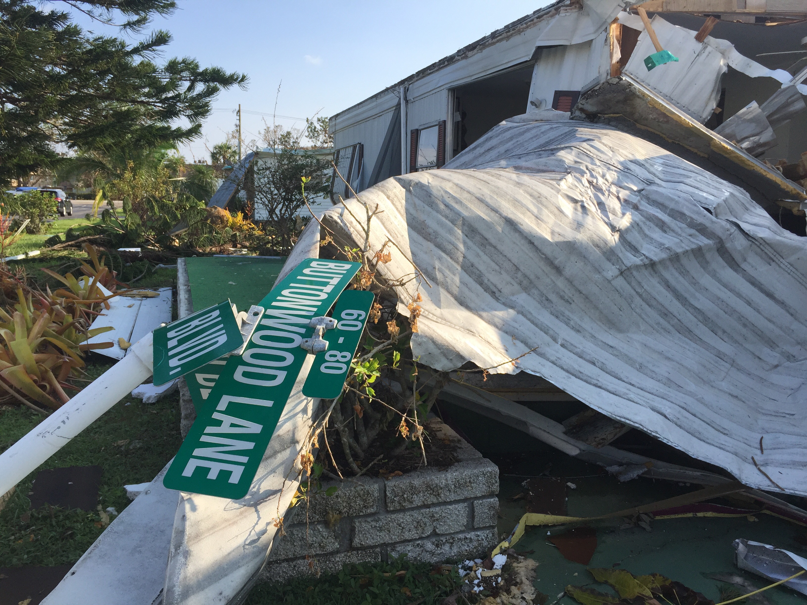 Collier County Storm Debris Pick Up To Begin Friday - WINK News