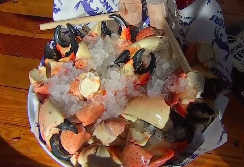 Stone Crab Festival kicks off in Naples WINK News