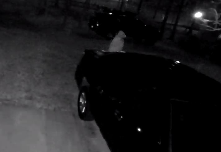 Suspects Sought In Rash Of Golden Gate Estates Car Burglaries Wink News