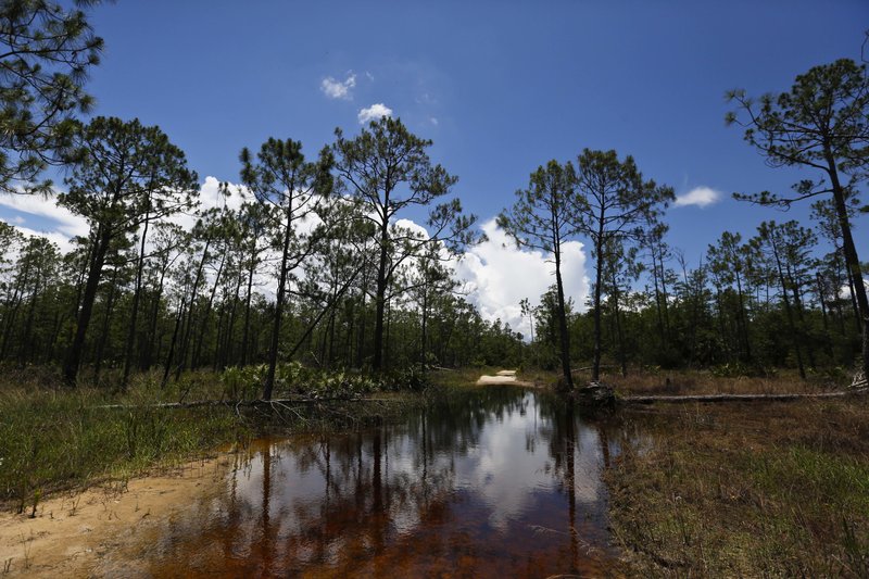 EPA to hand over federal permitting authority that affects wetlands to state