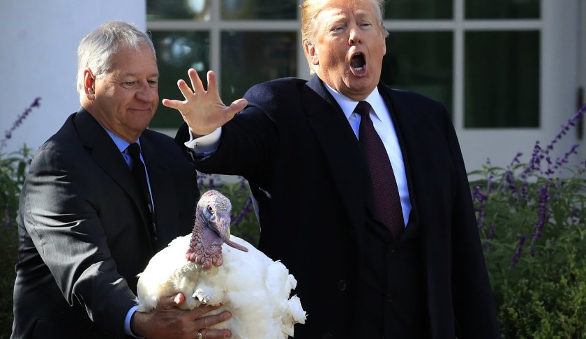 President Donald Trump gives Peas a National Thanksgiving Turkey, a pardon during a ceremony in the Rose Garden of the White House, in Washington, Tuesday, Nov. 20, 2018. Photo via AP.