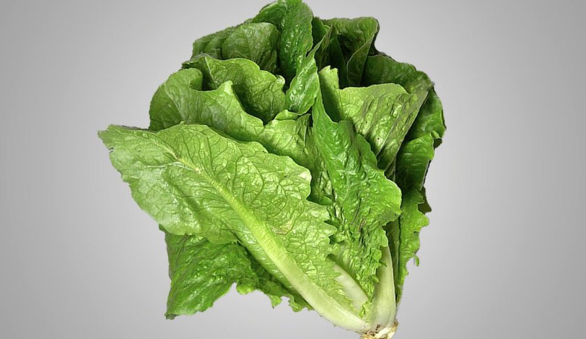 The CDC advises U.S. consumers to avoid consumption of any romaine lettuce.
