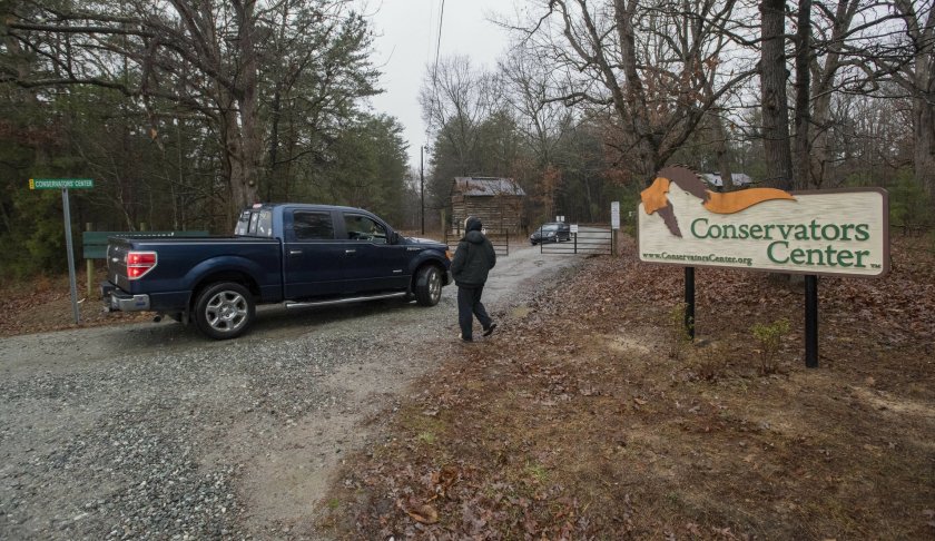 Conservators Center workers let a pickup truck enter property in Burlington, N.C., Monday, Dec. 31, 2018. An intern was cleaning an animal enclosure at the North Carolina wildlife center when a lion escaped from a nearby pen and attacked her, killing the young woman and sending visitors out of the zoo, authorities said. Photo via AP/Woody Marshall/The Times-News.
