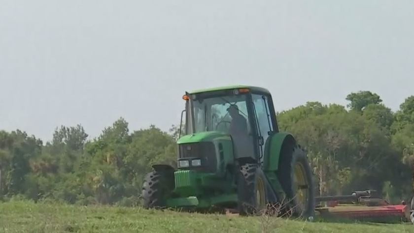 Farmer working in the field. Photo via WINK News.