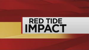 Red Tide Impact. WINK News photo.