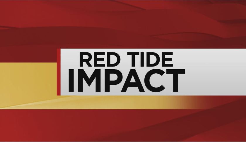 Red Tide Impact. WINK News photo.