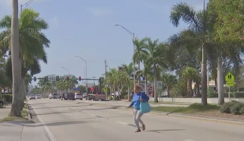 Woman j-walks across Palm Beach Blvd in Fort Myers. WINK News photo.