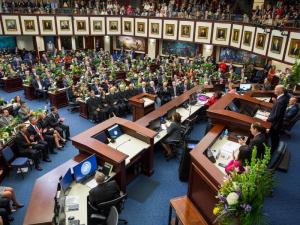 Florida lawmakers. (News Service Florida photo)