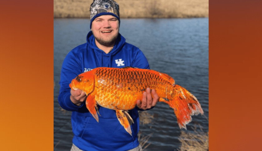 Hunter Anderson catches a massive goldfish. (CBS News photo)