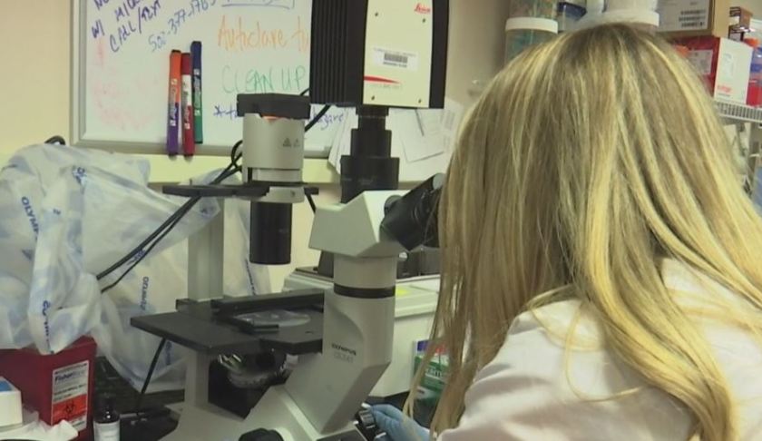Ivie Patino uses a device for her research project. (WINK News photo)