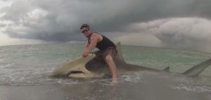 Man catches a shark. (WINK News photo)