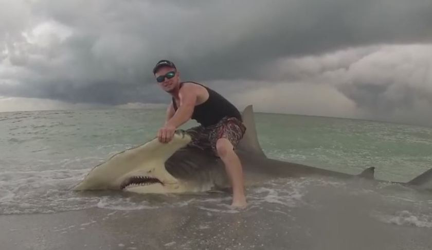 Man catches a shark. (WINK News photo)