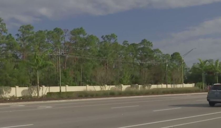 Median in Collier County. (WINK News photo)