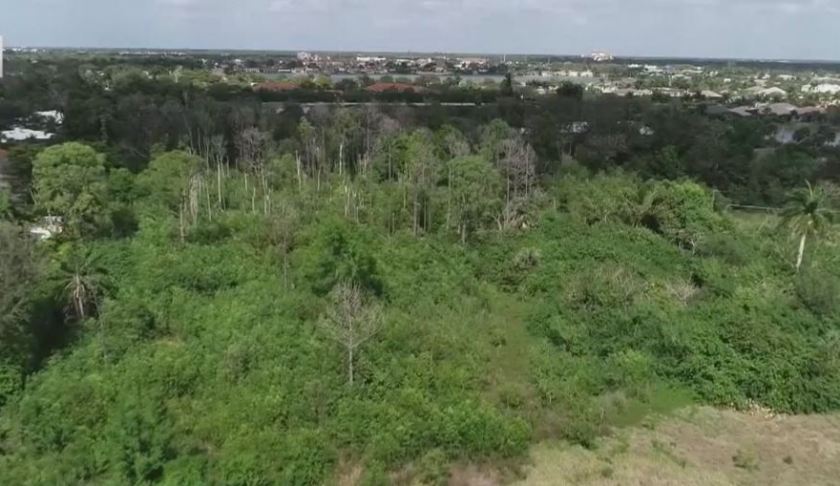 Plot of land where a new firehouse may be built. (WINK News photo)