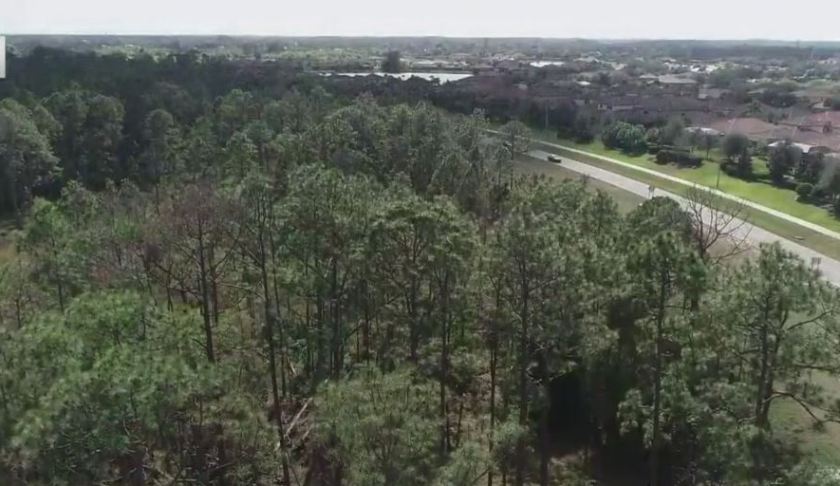 Site of a future Lee County school. (WINK News photo)