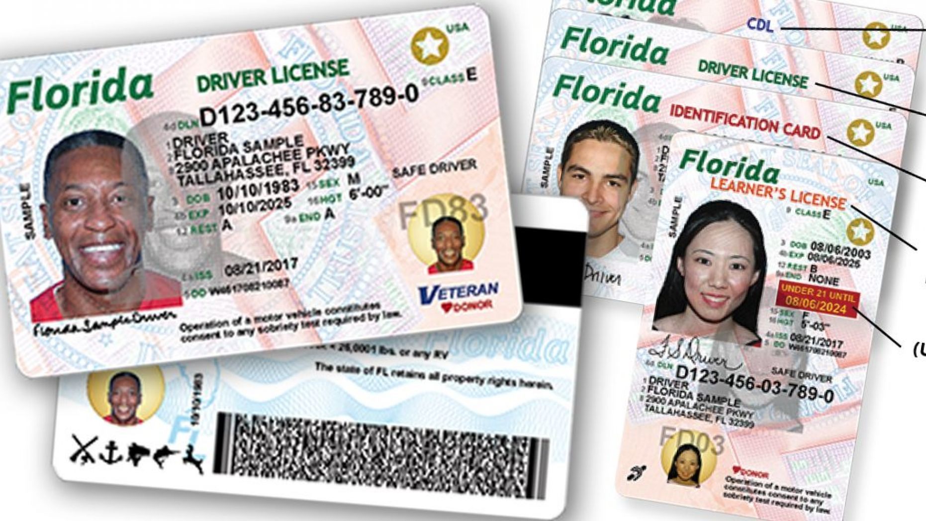 Driver's license and more - Florida drivers license Check Florida