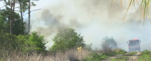 Fire crews work to put the brush fire out. (Credit: WINK News)