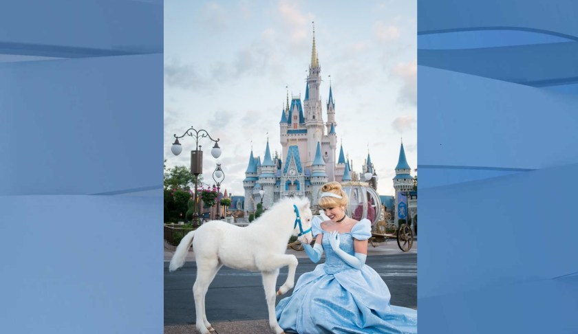 Disney’s Newest ‘Cinderella Pony’. (Credit: Walt Disney World)