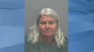 Mugshot of Lois Reiss. (Credit: Lee County Sheriff's Office)