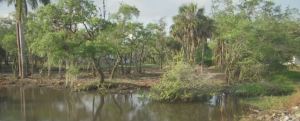 Portion of Billy's Creek where cleanup is underway. (Credit: WINK News)