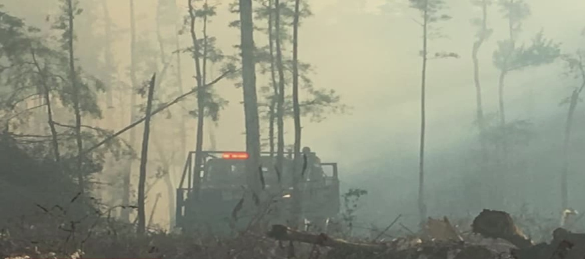 Firefighters Battle Rough Terrain, Thick Vegetation To Put Out Brush ...