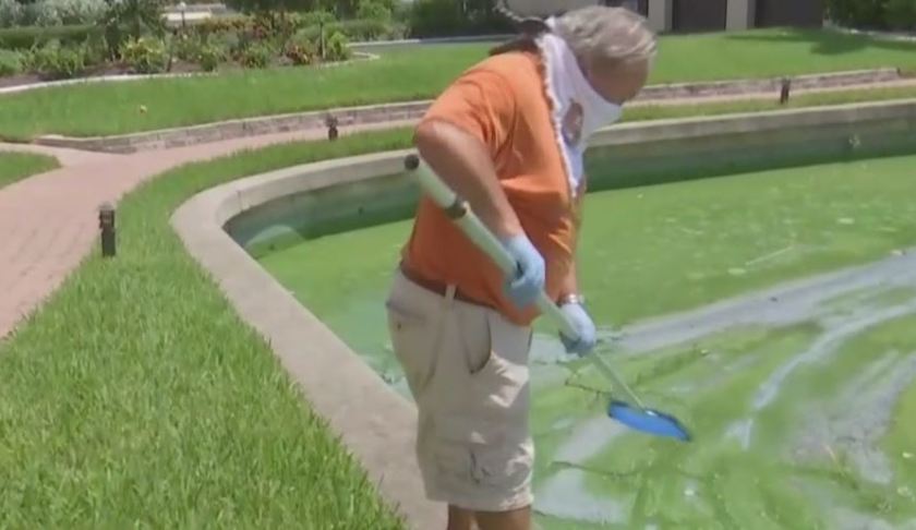 FILE: Man scoops blue-green algae out of the water. in May 2019 (Credit: WINK News/FILE)