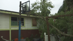 Damages from a storm Wednesday at a Suncoast Estates house. (Credit: WINK News)