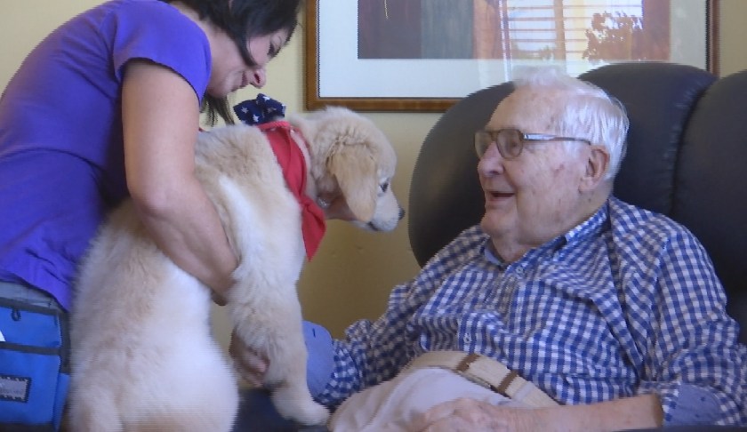 Veteran living in the care center at Vi at Bentley Village in North Naples pets a Golden PAWS Assistance Dog. (Credit: WINK News)