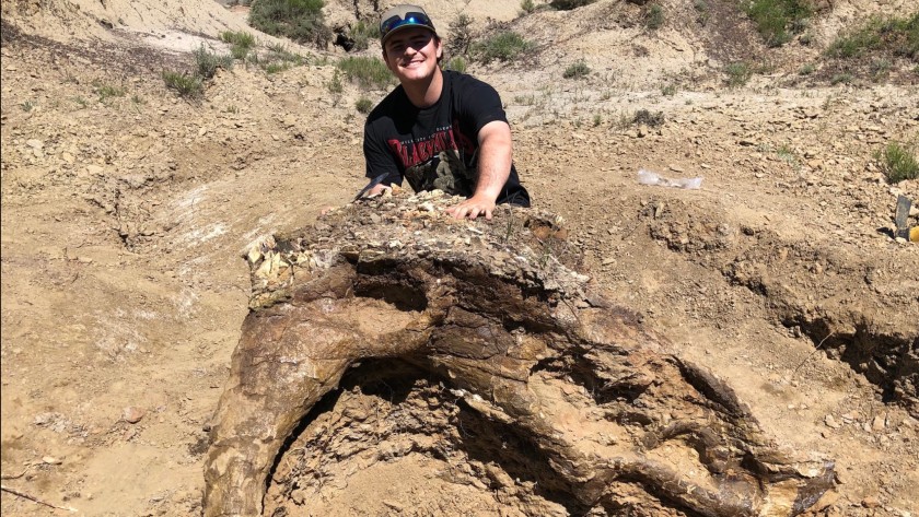 College student finds 65 million-year-old Triceratops skull on first dig. (Credit: CNN)