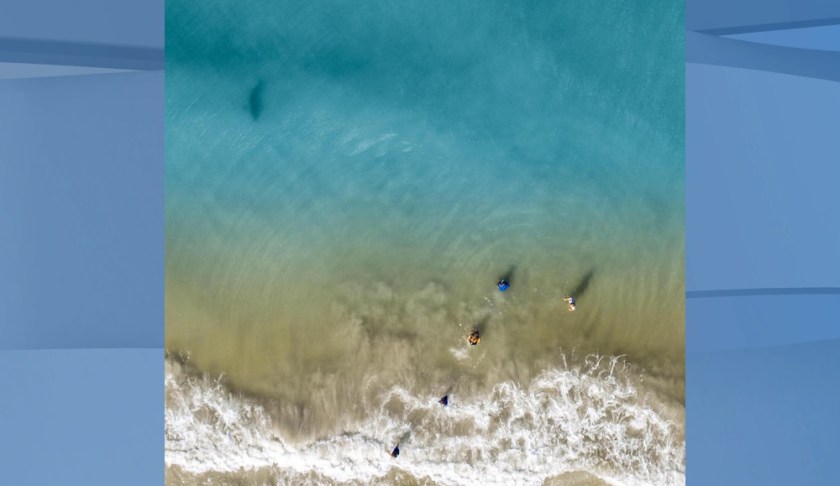 Dan Watson took this photo and noticed a 'shadow' swimming close to his and friends' children. (Credit: CBS News via Daniel Watson)