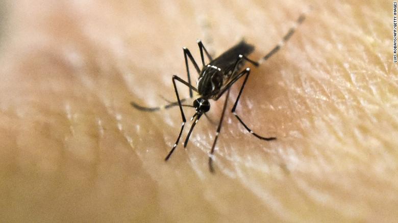 Deadly mosquito-borne virus that causes brain swelling detected in Florida. (Credit: CNN)