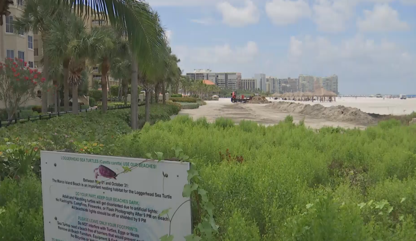 Plants and natural vegetation that once surrounded a Marco Island beach are all gone. (Credit: WINK News)
