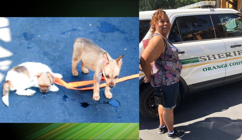 Penelope Stanley, 54, with her dogs, now dead. (Credit: Orange County Sheriff's Office)