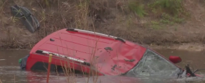 Vehicle sinks into a canal at Golden Gate Estates. (Credit: WINK News)