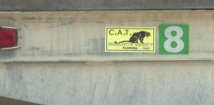 CAT sticker on a vehicle in Charlotte County. (Credit: WINK News)