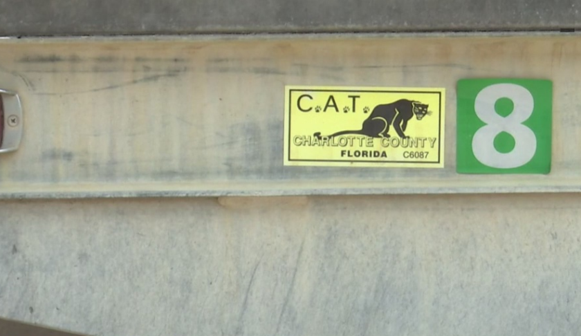 CAT sticker on a vehicle in Charlotte County. (Credit: WINK News)