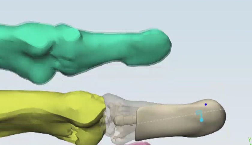 Model of the 3D finger. (Credit: WINK News)