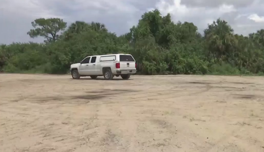 Portion of the vacant Cape Coral lot. (Credit: WINK News)