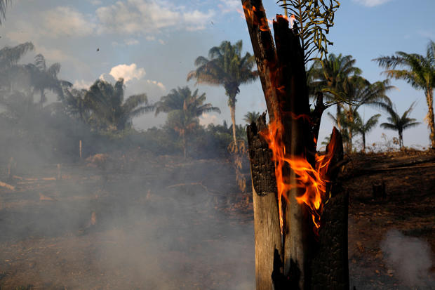 A tract of Amazon jungle is seen burning as it is being cleared by loggers and farmers in Iranduba, Amazonas state, Brazil, on Tue., Aug. 20, 2019. (REUTERS)
