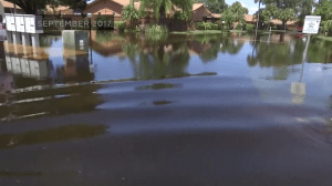 Island Park Road had major flooding following Hurricane Irma. Sept. 2017 (WINK News)