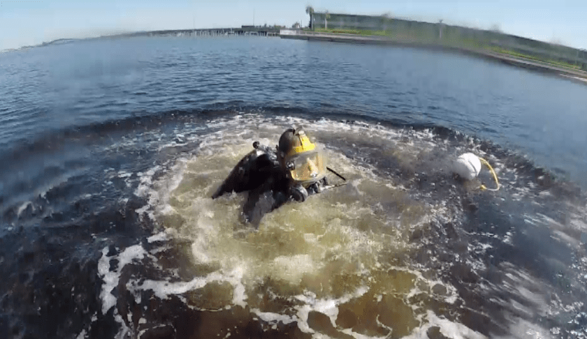 Diver jumps into Charlotte Harbor to help clean it up on Wednesday. (Credit: WINK News)