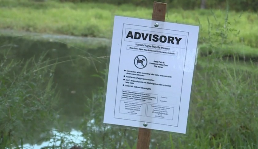 Sign showing an advisory for blue-green algae. (Credit: WINK News)