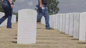 Tombstones of the deceased in Sarasota. (Credit: WINK News)