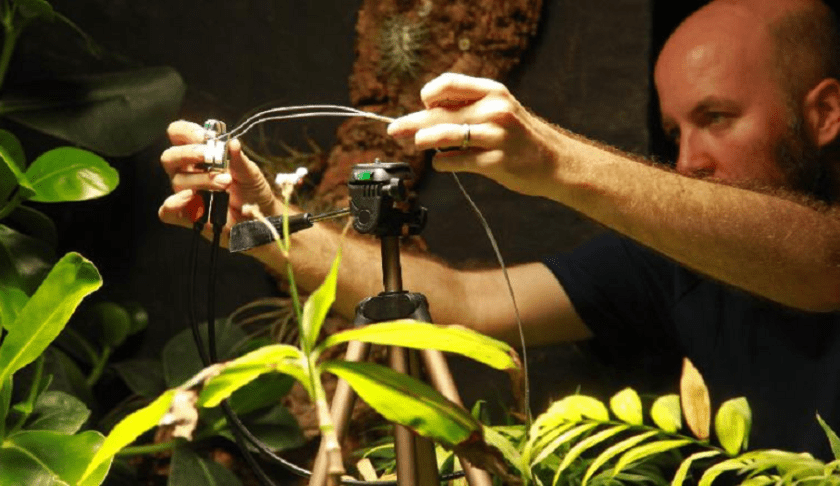 A fern called Pete has taken the first plant-powered selfie in the world.